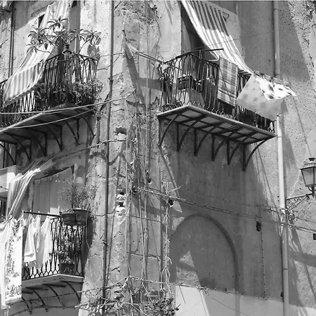 Domus Schiavuzzo Apartment